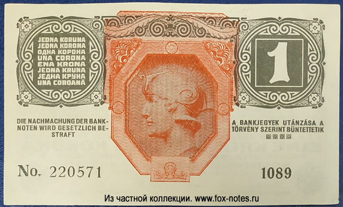 Oesterreichisch-ungarische Bank 1 Krone 1918
