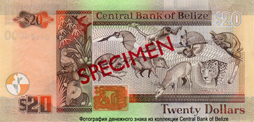  Central Bank of Belize.  20  2003