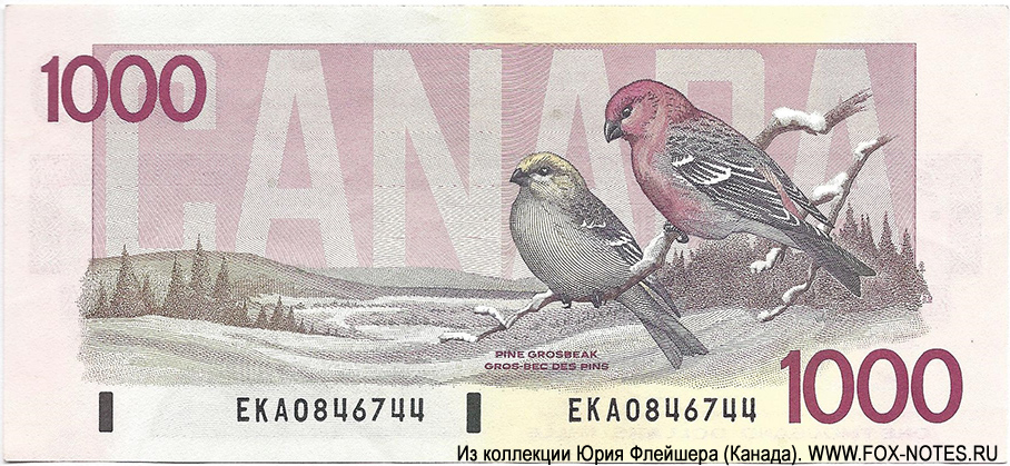 Bank of Canada. 1000  dollars 1988 "Birds of Canada"