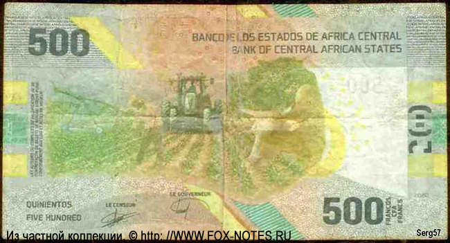 Banque des États de l'Afrique Centrale 500 francs 2020