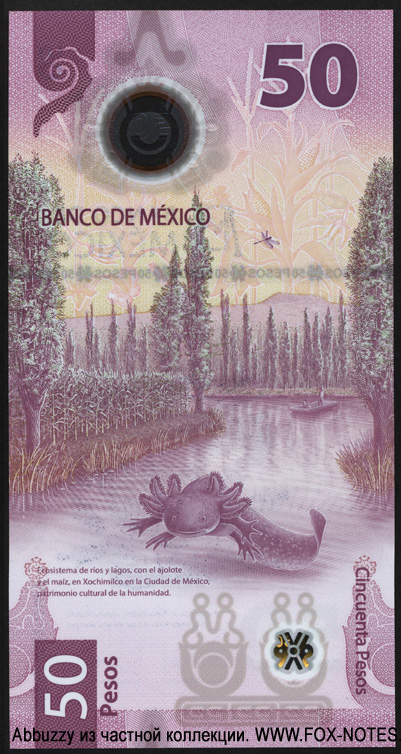 Мексиканские Соединённые Штаты. Banco de México. 50 песо — 7 JUL. 2022. SERIE AT.