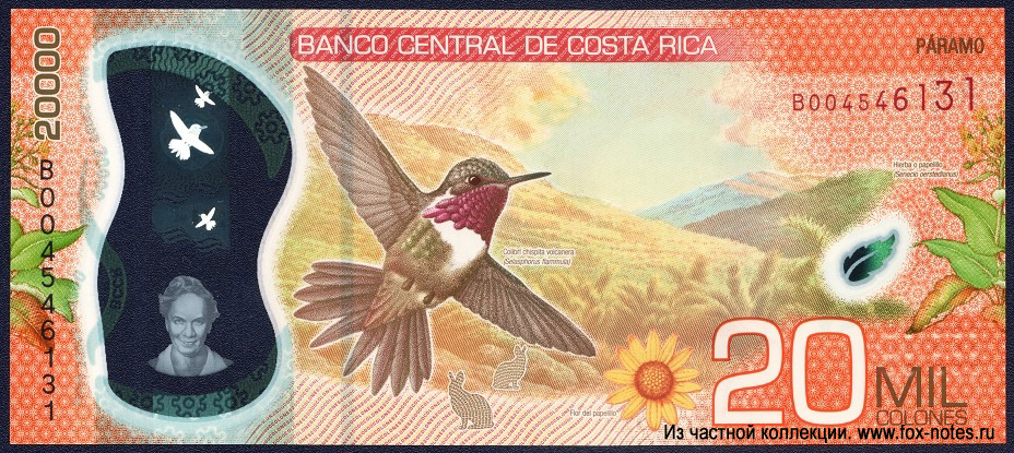 Banco Central de Costa Rica. - 20000  2018