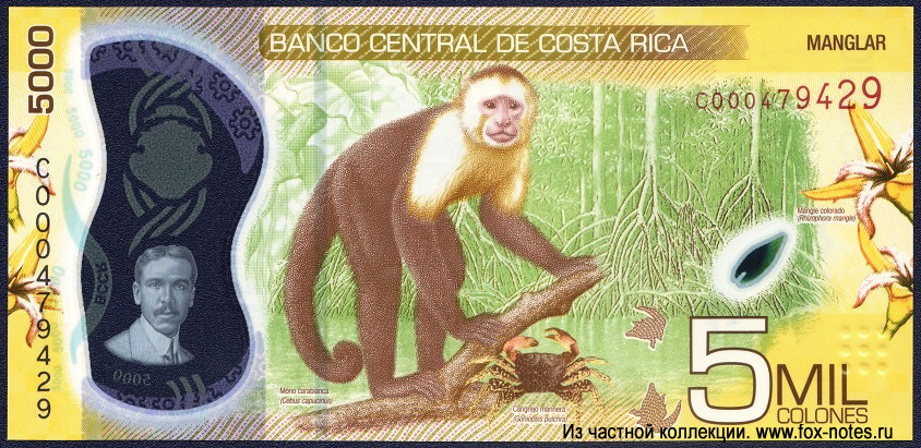 Banco Central de Costa Rica. - 5000  2018