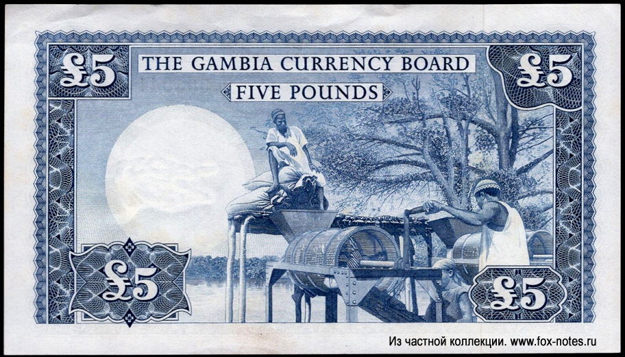   Gambia Currency Board 5  1965