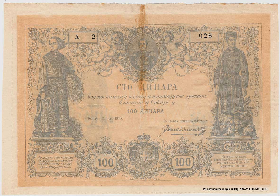 100 динар 1876 Княжества Сербского