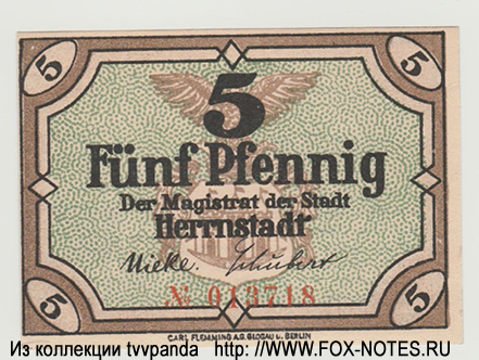 Stadt Herrnstadt 5 Pfennig
