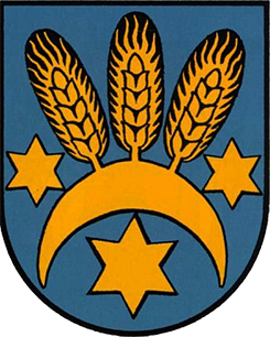 Нотгельды города Windischgarsten (Виндишгарстен) Oberösterreich (1914 - 1924)