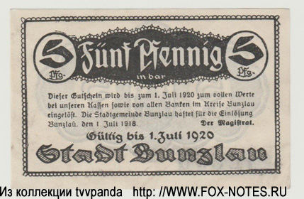 Stadthauptkasse Bunzlau 5 Pfennig 1919