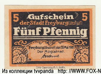 Stadt Freyburg an der Unstrut 5 Pfennig 1920