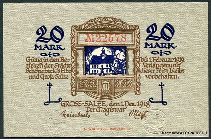 Stadte Schönebeck und Gross-Salze 20 Mark 1918