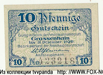 Bezirk der Amtshauptmannschaft Grossenhain 10 Pfennig 1920