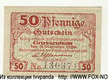 Bezirk der Amtshauptmannschaft Grossenhain 50 Pfennig 1920