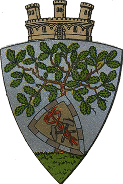 Wappen der Stadt Wald